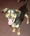Corky