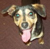 Corky