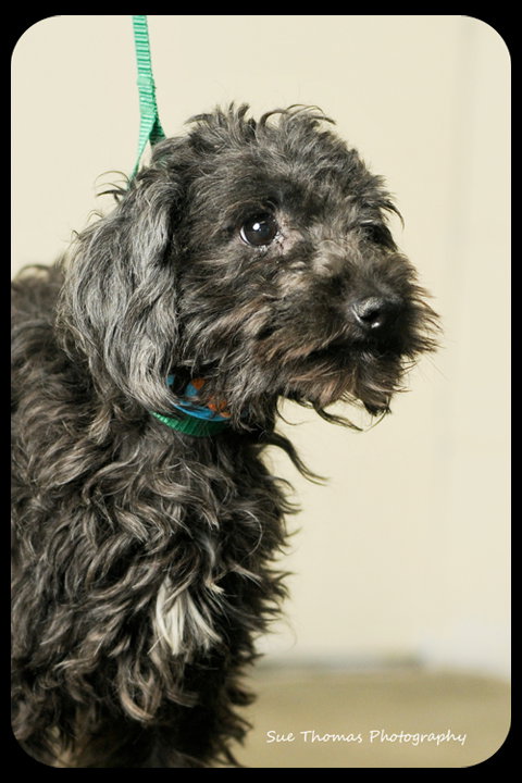 Marley