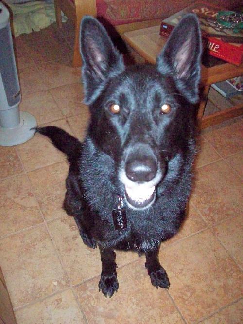 Kito