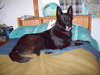 Kito