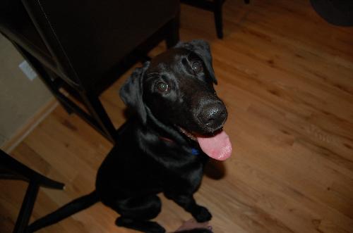 Gunnar