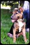 Duncan