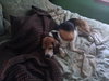 Shilo