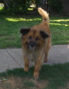 Coda