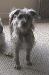 Gretta