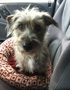 Gretta