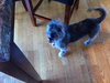 Gretta