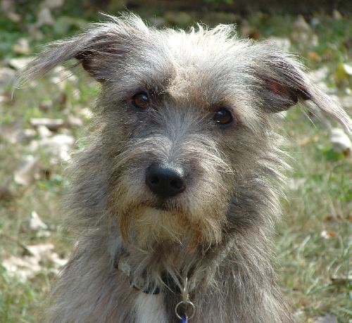 Gretta