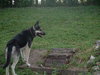 Shadow