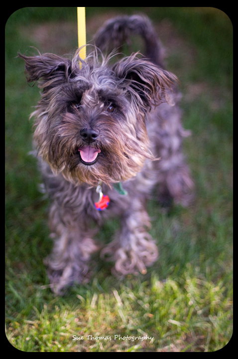 Missy