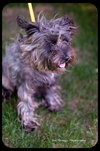 Missy
