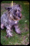 Missy