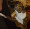 Carter