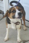 Lola