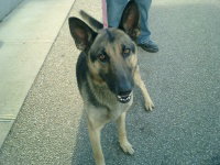 Jubal