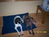 Dottie