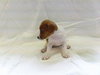 Corin-Puppy