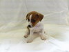 Corin-Puppy