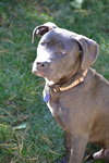Chopper