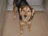 Flynn
