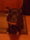 Buffy