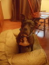 Buffy
