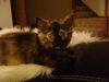 Meredith