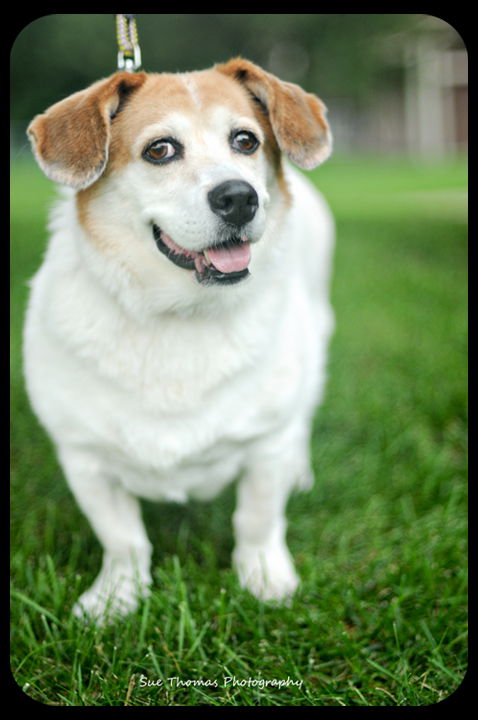 Flossie