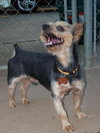 Rudy