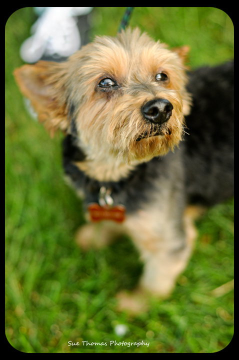 Rudy