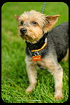 Rudy