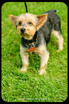 Rudy