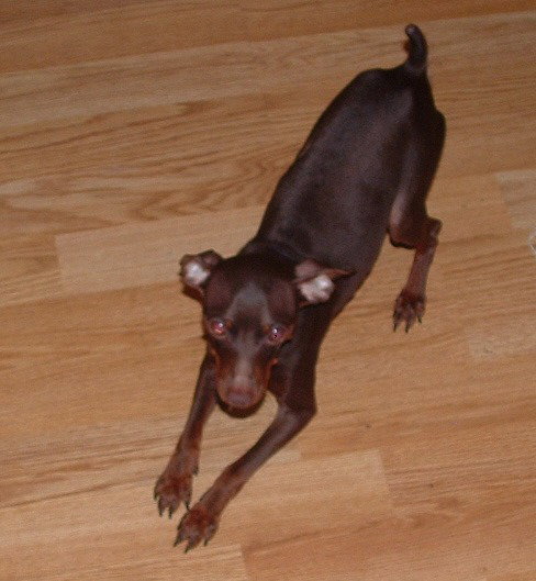 Turbo