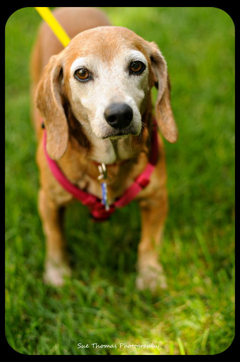 Janie