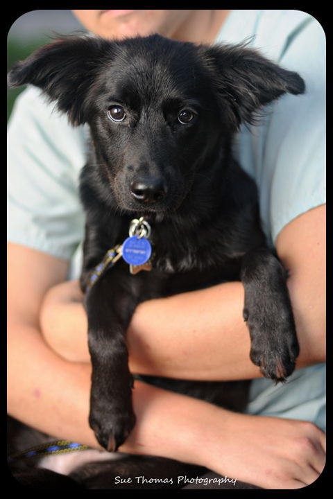 Gidget