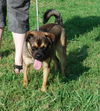 Bosley