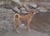 Bruce