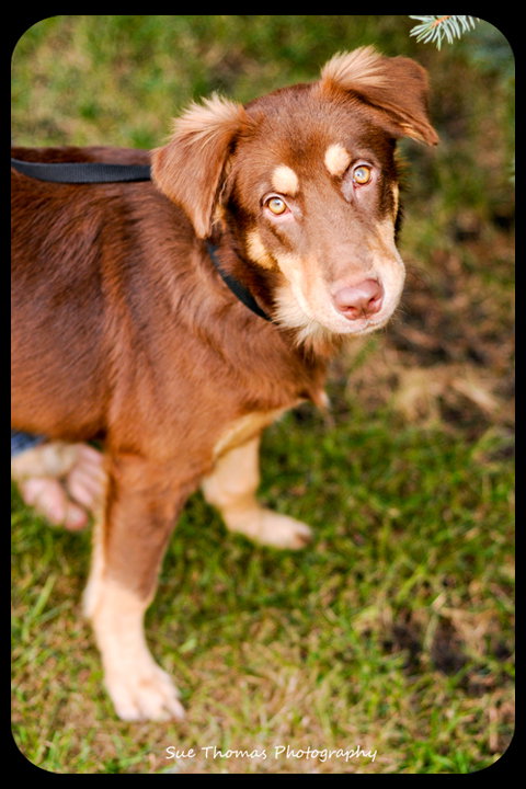 Lilly Mae