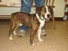 Buster
