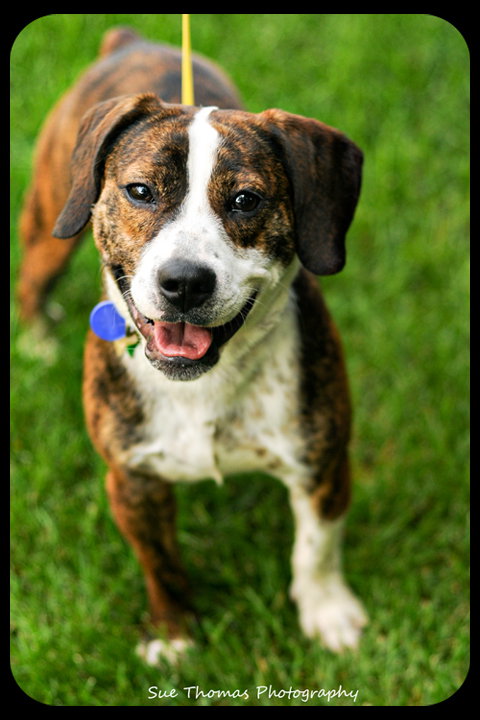 Buster