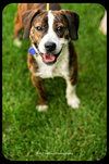 Buster
