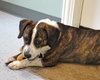 Buster