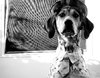 Tucker