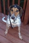 Tucker
