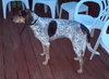 Tucker