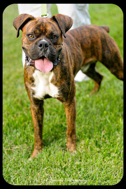 Herschel