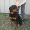 DeeDee