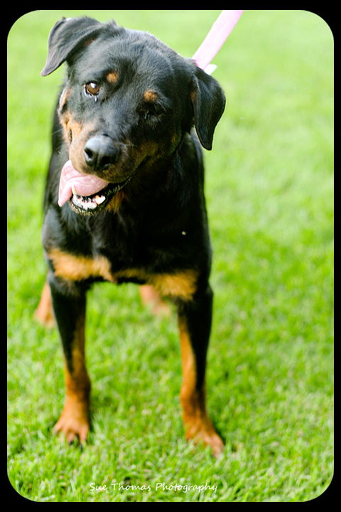 DeeDee