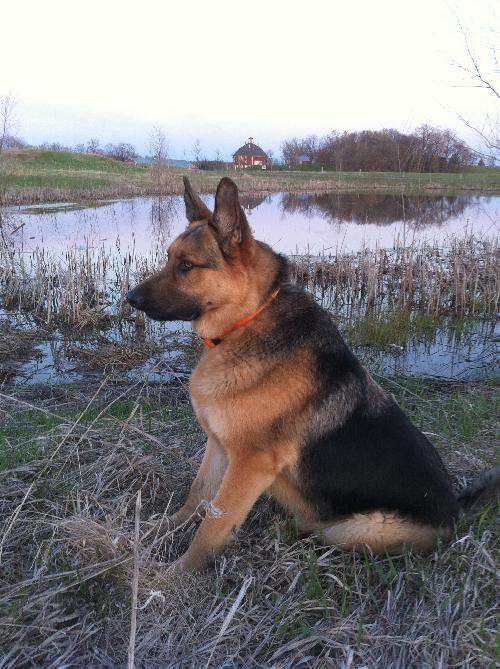 Diego